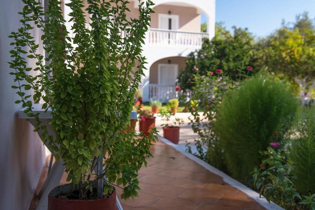 Apartment Ragias